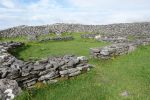 PICTURES/The Burren - Coherconnel Fort & Sheepdog Demonstration/t_DSC04928.JPG